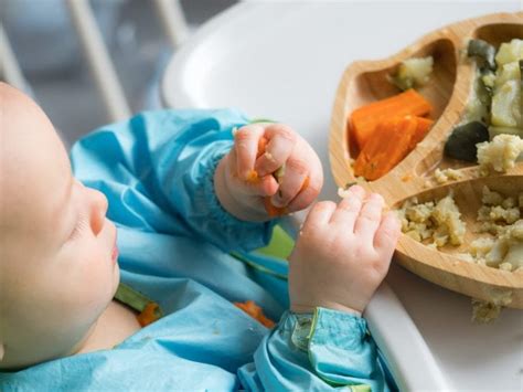 離乳食 鶏ひき肉 冷凍：赤ちゃんの味覚を育てる冷凍保存の知恵